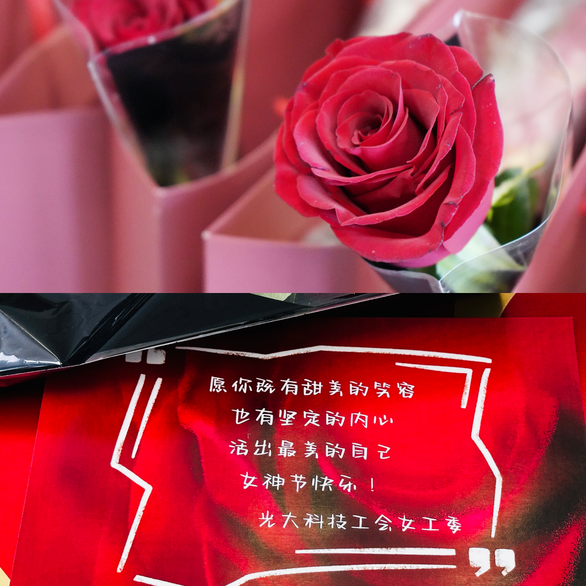 2025040818301467061 rb88随行版-rb88手机随行版登录入口